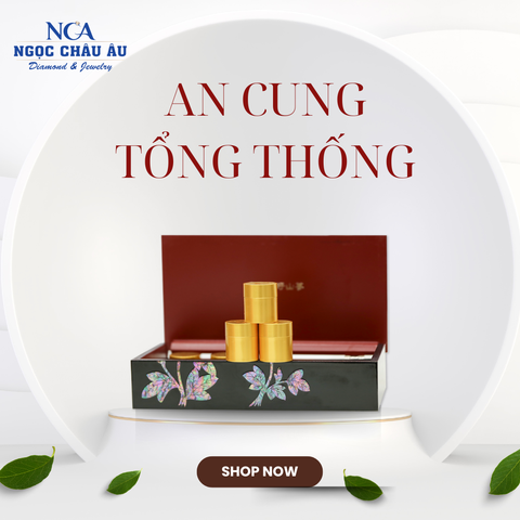  An cung tổng thống 