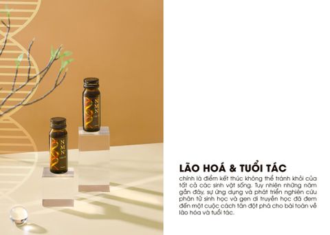  Thức uống hồi sinh ty thể NMN Liquid (NMN) 