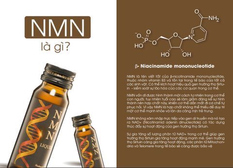  Thức uống hồi sinh ty thể NMN Liquid (NMN) 