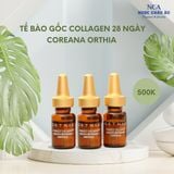  Tế bào gốc Collagen 28 ngày Coreana ORTHIA Perfect Collagen 28Days Intensive Ampoule (28D) 