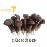  [Kim Lai] Nấm mối đen tươi 