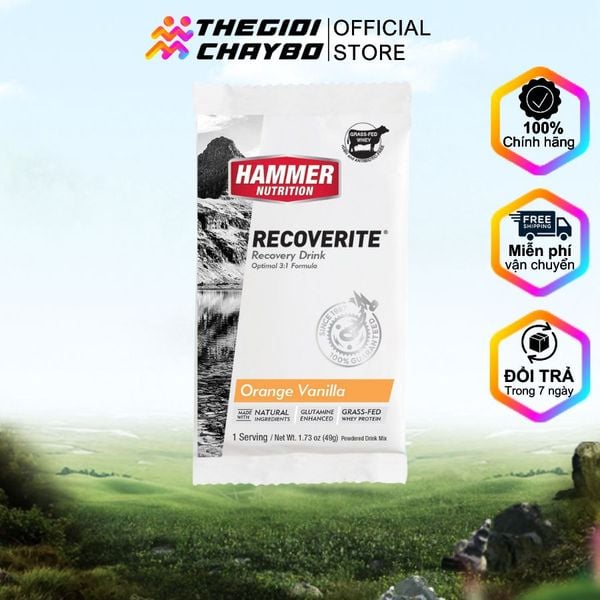  Bột Phục Hồi Hammer Recoverite - Orange Vanilla 