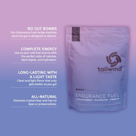  Bột Năng Lượng Endurance Fuel TAILWIND Berry 54g 