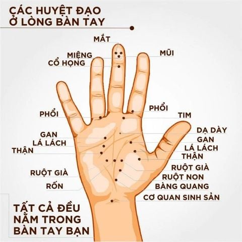  Dụng cụ massage bàn lăn tay 