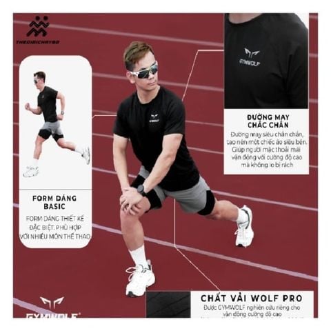  Áo Chạy Bộ Nam Gymwolf Fast & Fly - Hồng 