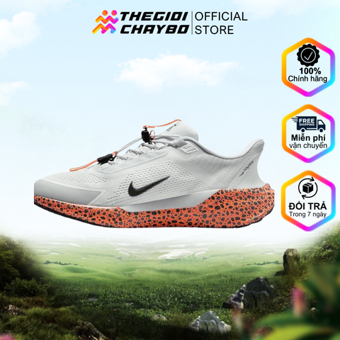  Giày Chạy Bộ Nam Nike Air Zoom Pegasus 41 - Multi Color 