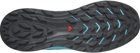  Giày Chạy Trail Nam Salomon ULTRA FLOW - Carbon/Tahide/Deepdi 
