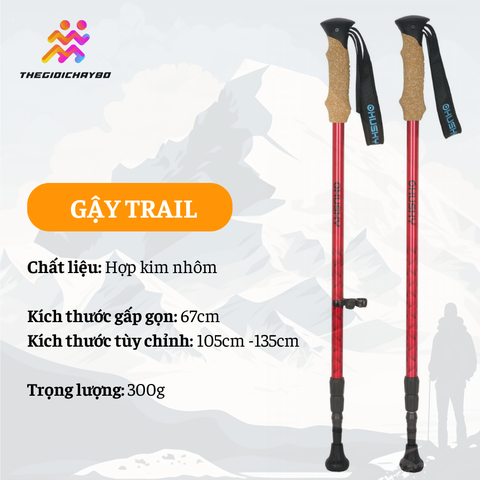  Gậy Leo Núi Trekking Husky Sherpa 