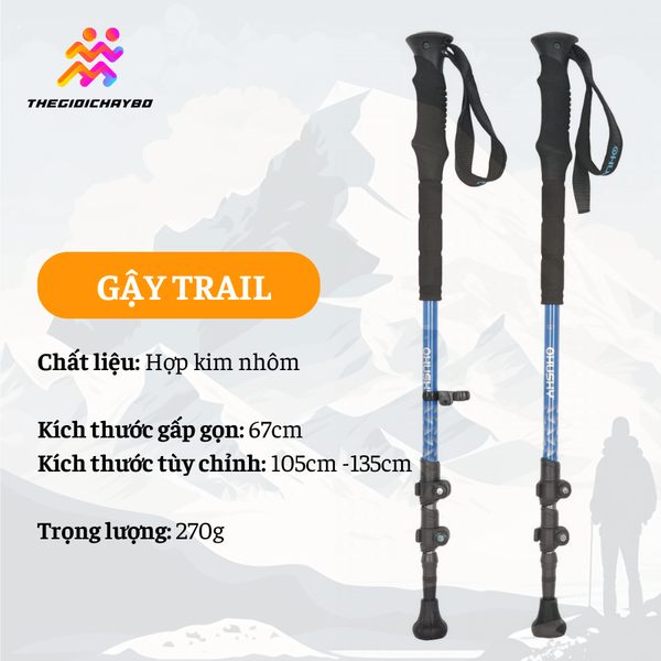  Gậy Leo Núi Trekking Husky Slate New 