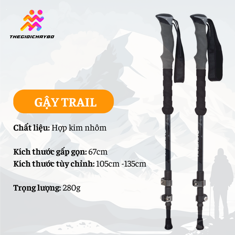  Gậy Leo Núi Trekking Husky Sprun 