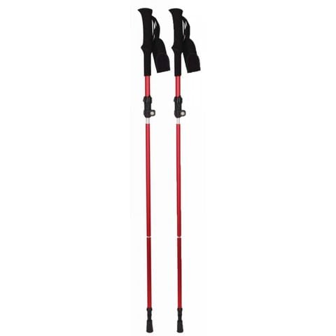  Gậy Leo Núi Trekking Husky Slade 