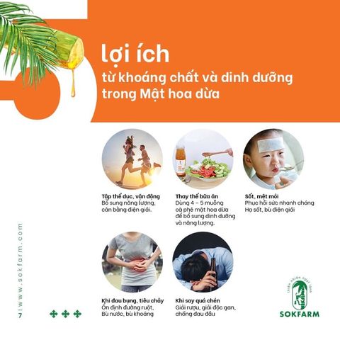  Mật Hoa Dừa Tự Nhiên Sokfarm Bổ Sung Năng Lượng & Dinh Dưỡng 