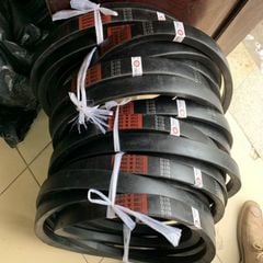 Dây Curoa Bando bản D
