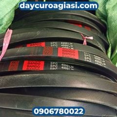 Dây curoa SPC Bando