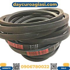 Dây curoa Bando C100