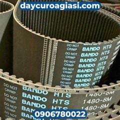 Dây curoa Bando 8M