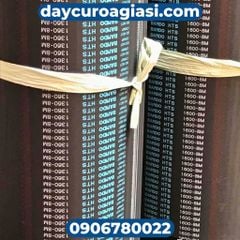 Dây curoa Bando 8M