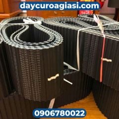 Dây curoa Bando DXL