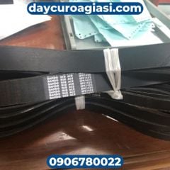 Dây curoa 5PK