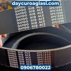 Dây curoa 6PK
