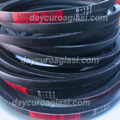 Dây curoa B102