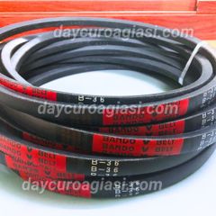 Dây curoa B36