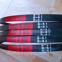 Dây curoa B51