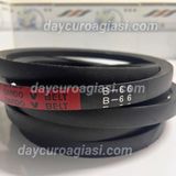 Dây curoa B66