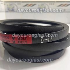 Dây curoa B66
