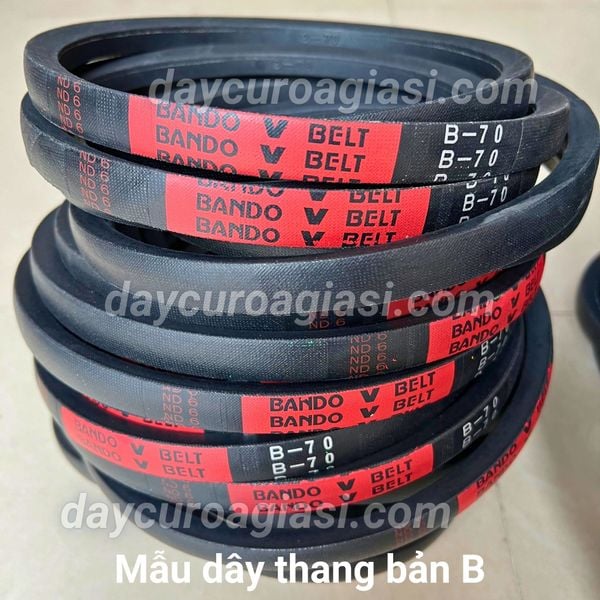 Dây curoa B65