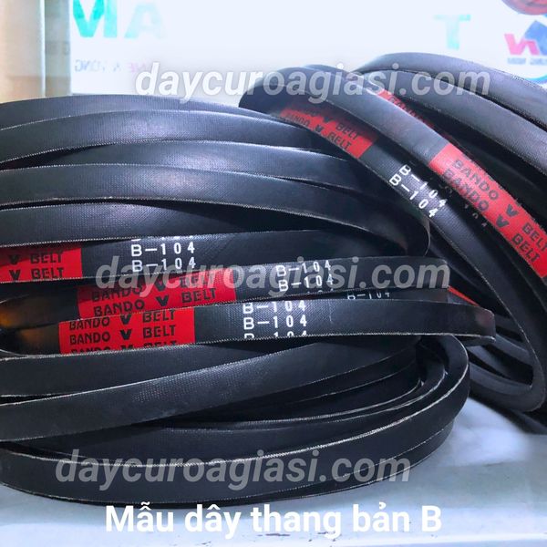 Dây curoa B116