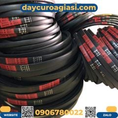 Dây curoa Bando bản C