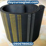 Dây curoa Bando S2M