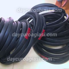 Dây curoa C173