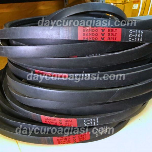 Dây curoa C255
