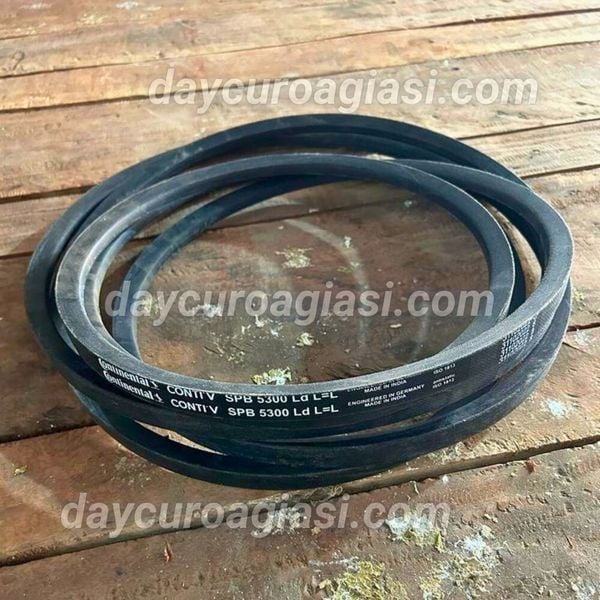 Dây curoa SPB 5300