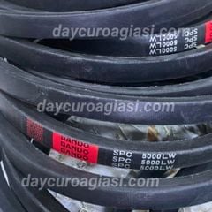 Dây curoa SPC 5000