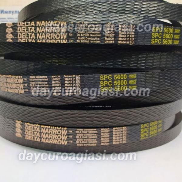 Dây curoa SPC 6700