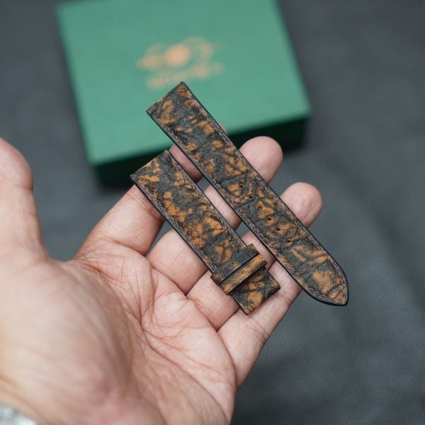  Dây da voi nâu đen 