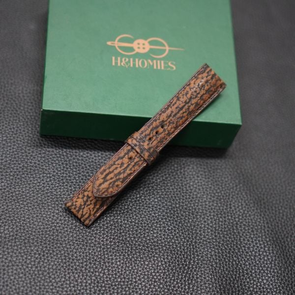  Dây cá mập nâu đen 