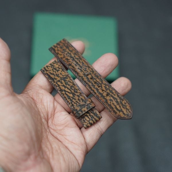  Dây cá mập nâu đen 