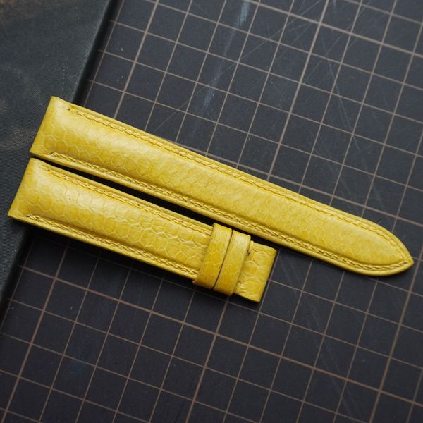  Dây da rắn biển vàng (Size:18-16mm) 