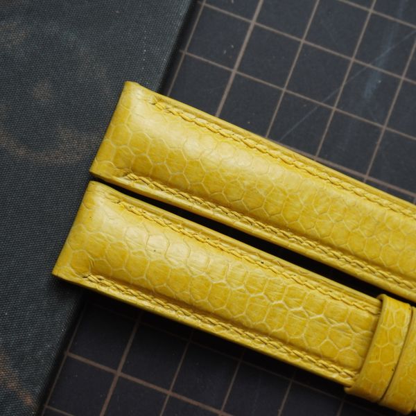  Dây da rắn biển vàng (Size:18-16mm) 