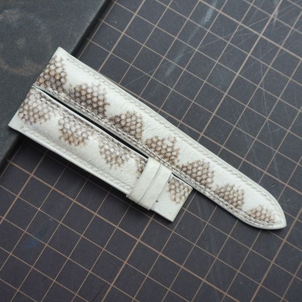  Dây da rắn trắng (Size:18-16mm) 