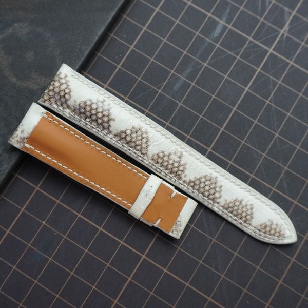  Dây da rắn trắng (Size:18-16mm) 