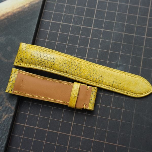  Dây da rắn vàng (Size:22-20mm) 