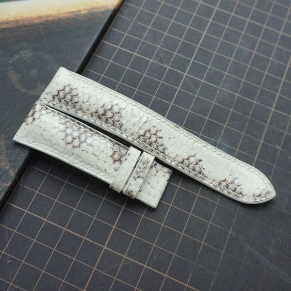  Dây da rắn trắng (Size:22-20mm) 