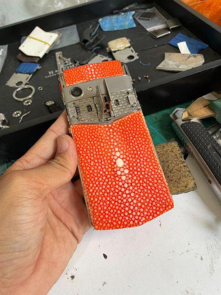  Thay da cá đuối cam cho Aster P 