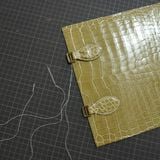  Túi Tote da cá sấu Alligator Pháp 