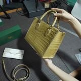  Túi Tote da cá sấu Alligator Pháp 